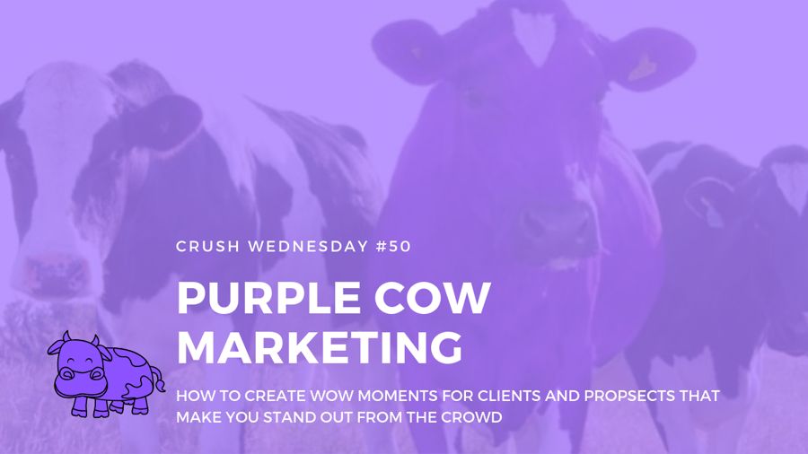 Purple Cow Marketing to WOW your clients | Crush Wednesday Ep 50