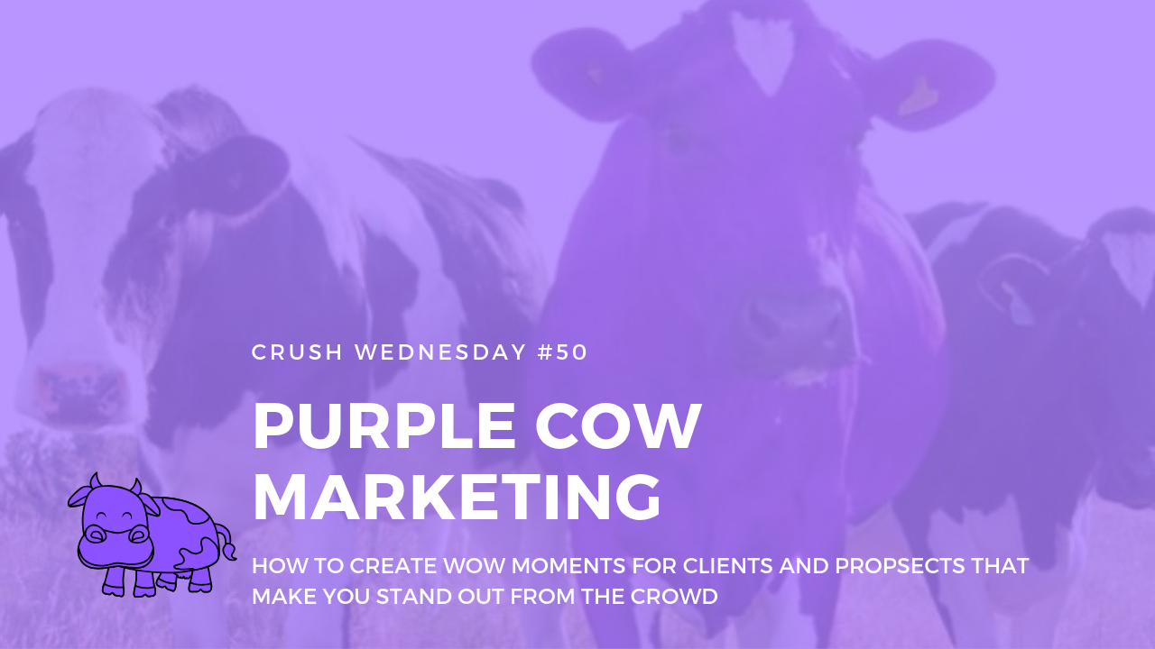 Read more about the article Purple Cow Marketing to WOW your clients | Crush Wednesday Ep 50